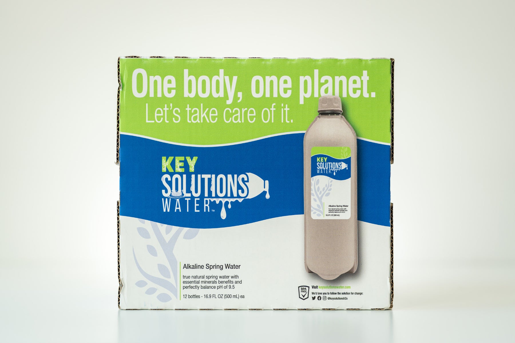 Alkaline Spring Water 16.9 fl oz