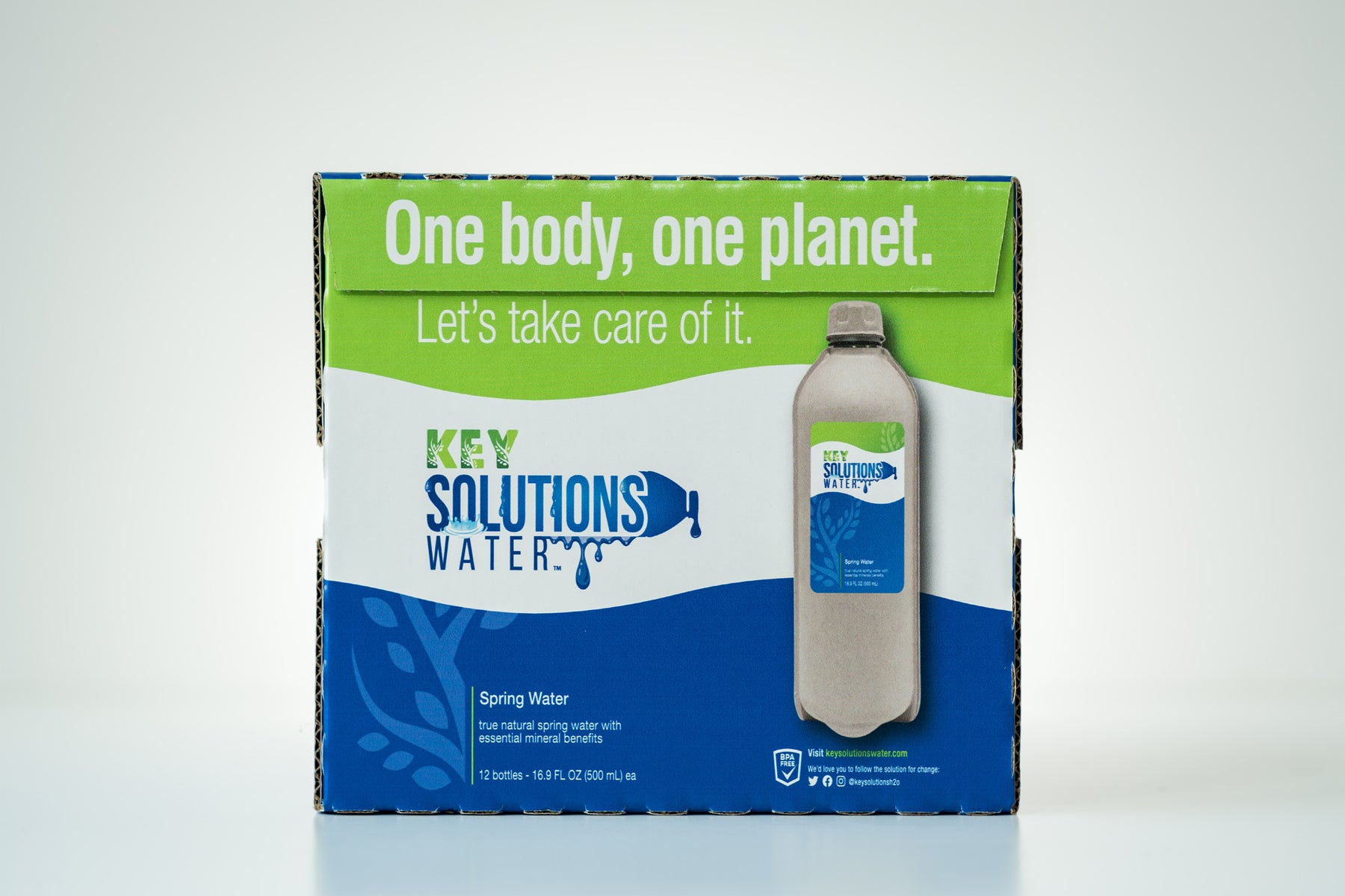 Spring Water 16.9 fl oz