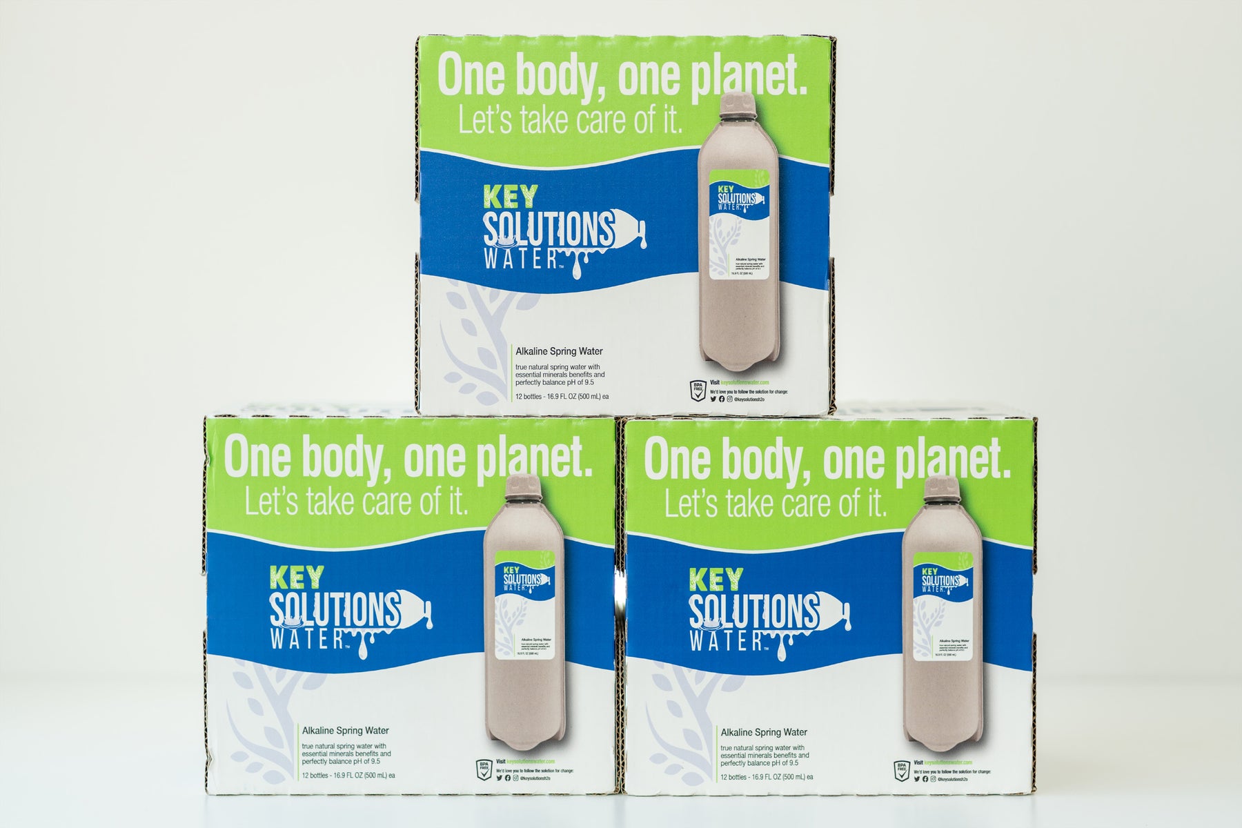 Alkaline Spring Water 16.9 fl oz