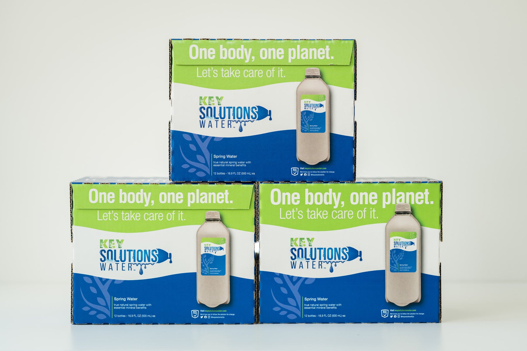 Spring Water 16.9 fl oz