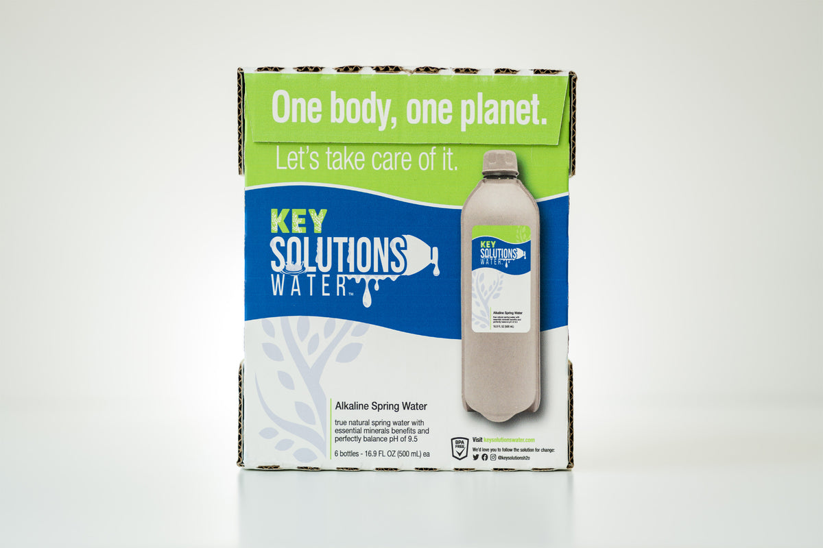 Alkaline Spring Water 16.9 fl oz