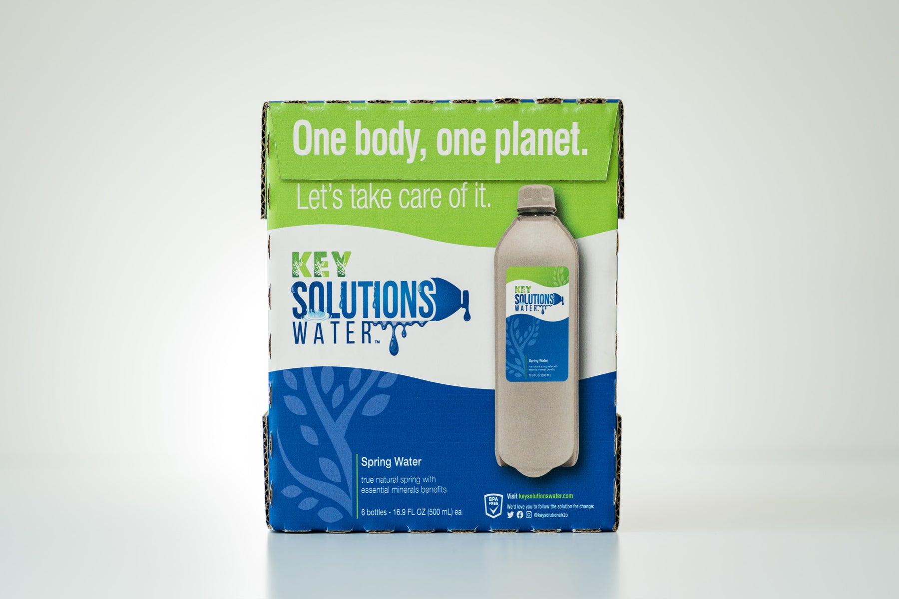 Spring Water 16.9 fl oz