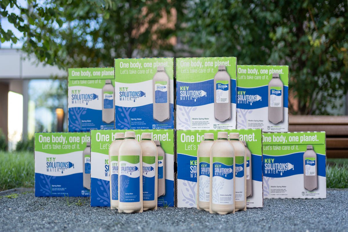 Spring and Alkaline Water Variety Pack 16.9 fl oz