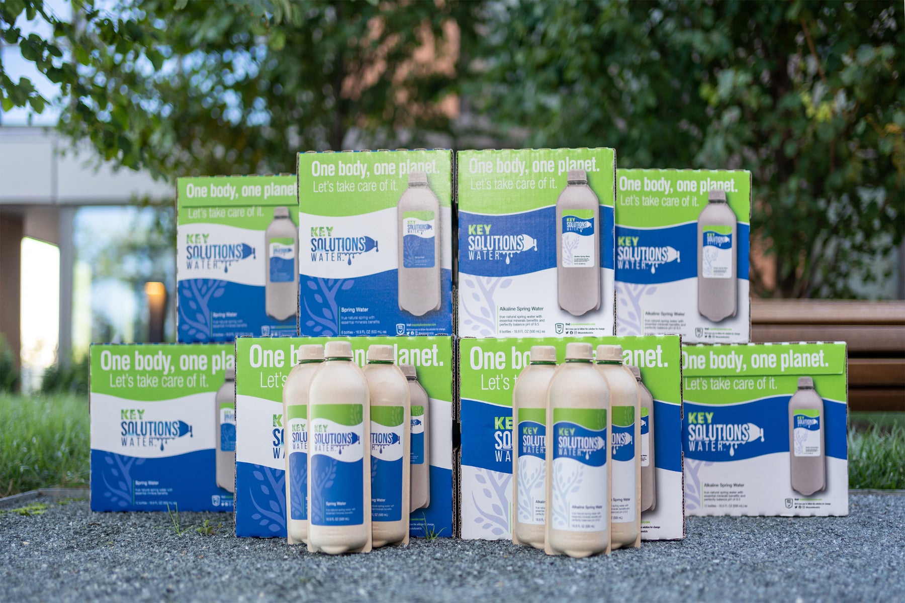 Spring and Alkaline Water Variety Pack 16.9 fl oz